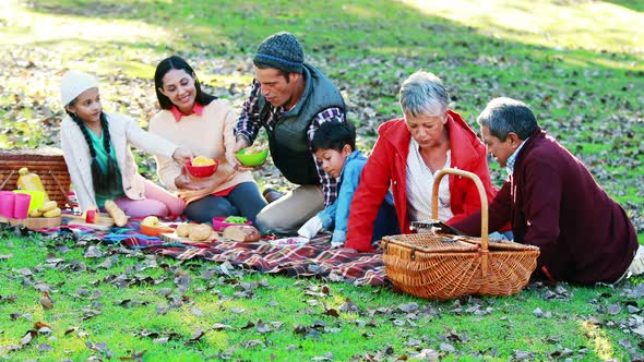 Family having picnic in the park