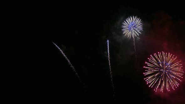 Colorful Firework display at night on sky background