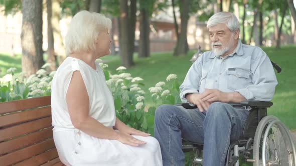 Portrait of Positive Paralyzed Man in Wheelchair Talking with Senior Woman in Sunny Park. Relaxed