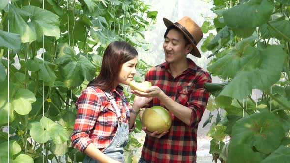 Young Asian Couple of Farmers Smelling Cantaloupe Melon Slice From Their Melon Farm