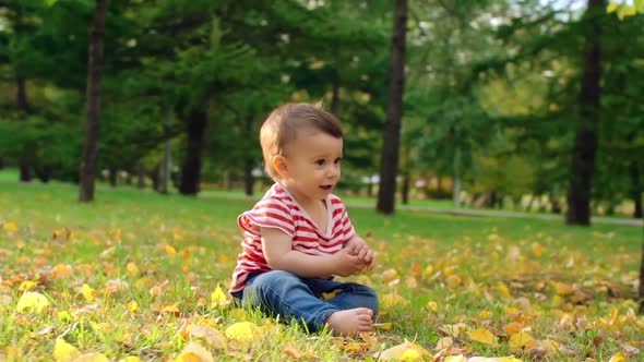Curious Little Boy with Yellow Leaves in Park alt