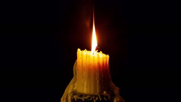 Time Lapse of a  Candle Burning