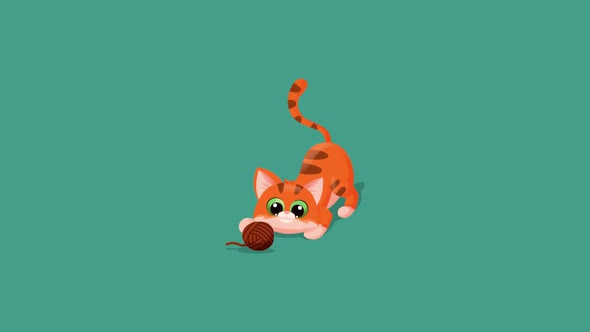 Cat animation alt