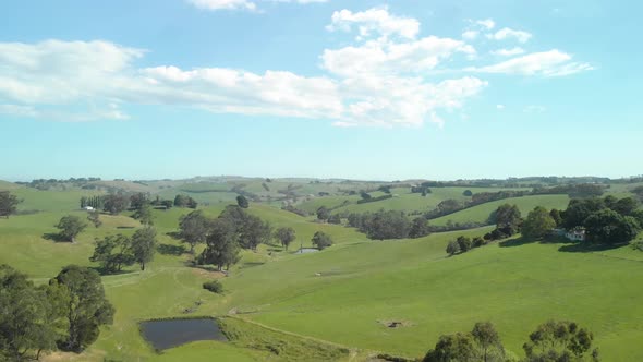 Aerial shot of the green lush rolling hills of the Stzelecki ranges Australia.