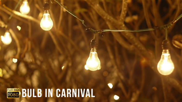 Bulb In Carnival