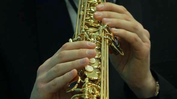 Hands Playing Wind Instrument 2
