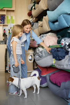 Happy family doing shopping at pet store choosing bedding for dog