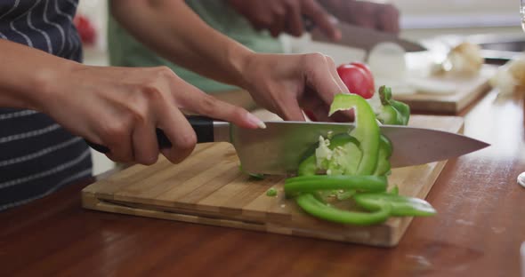 Hands of biracial couple cooking together, cutting vegetables