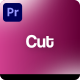 Cut Zoom Transitions - VideoHive Item for Sale