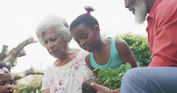 Happy senior african american grandparents with grandchildren working in garden