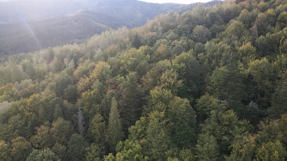 Nature of Ukraine: Carpathian Mountains Slow Motion. Aerial View