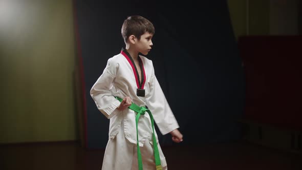 A Little Boy Doing Taekwondo  Standing in Position and Showing Moves
