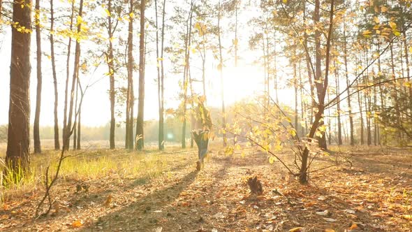 A girl walks through the woods