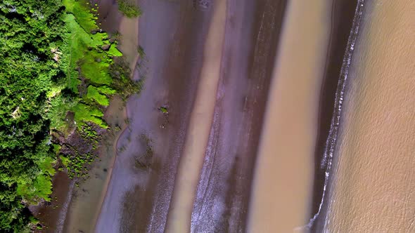 Aerial overhead of trees, sandbanks and brown water at Rio de la Plata