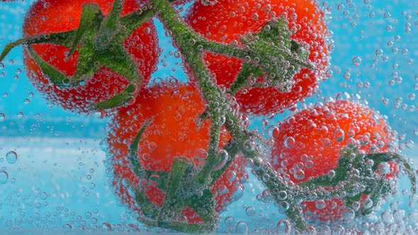 Tomatoes Vegetables Closeup in Water Under Water