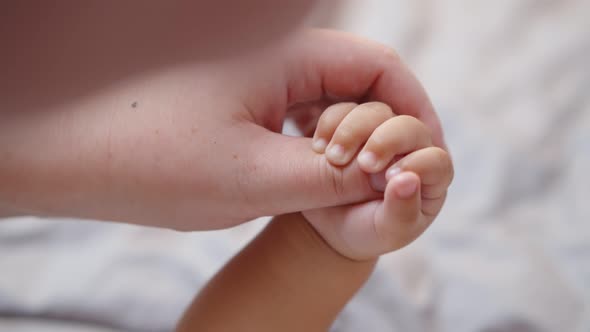 Close Up Mixed Race Baby Hand Holding Caucasian Mother Thumb