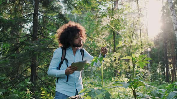 Young Latin American Biologist or Naturalist with Tablet PC in Forest