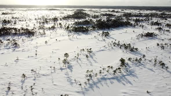 Aerial drone view of a snow-covered bog on a beautiful winter day. Recorded in Valgeraba, Soomaa, Es