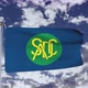 SADS Flag Waving 4k - VideoHive Item for Sale