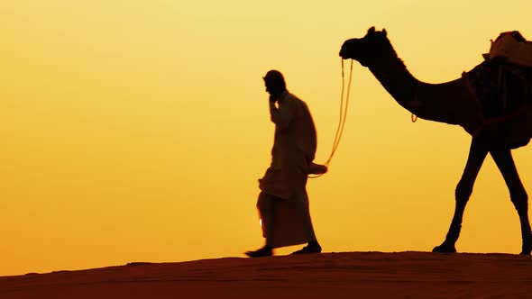 Cameleers, Camel Drivers at Sunset