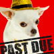 Past Due Stamp - GraphicRiver Item for Sale