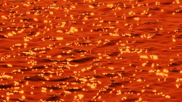 Sparkling Water Surface At Sunset