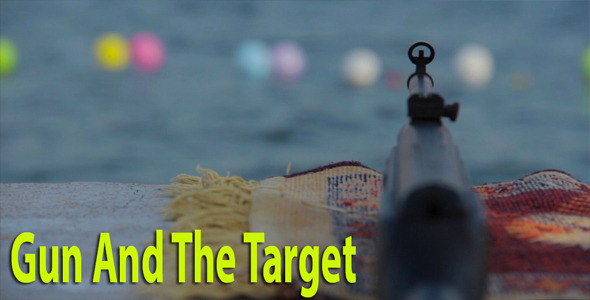 Gun And The Target
