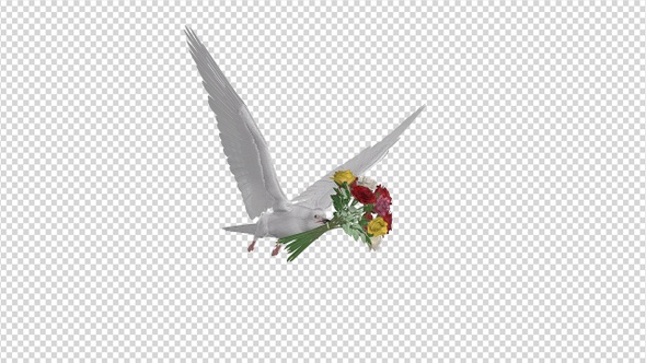 Dove with Bouquet - 4K Flying Cycle - Side Angle