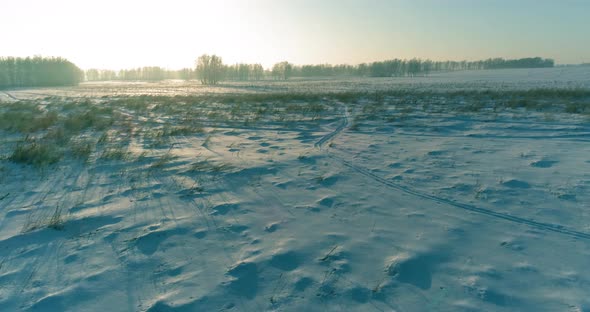 Aerial Drone View of Cold Winter Landscape with Arctic Field Trees Covered with Frost Snow and