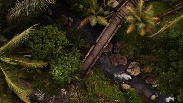 Peaceful scene of footbridge crossing jungle stream; aerial overhead descent