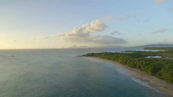 Aerial of green trees along serene sea seascape