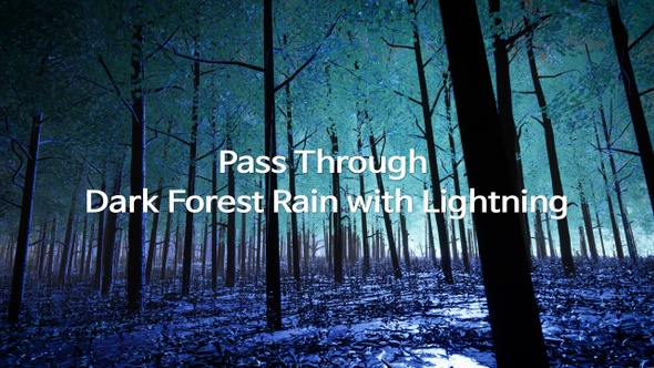 Pass Through Dark Forest Rain With Lightning