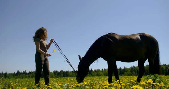 Carefree Teen Girl Is Holding Reins of Horse Standing on Lawn