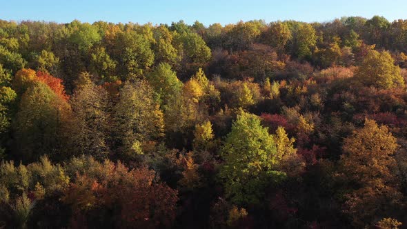 Aerial Shot From Above of Multicolored Beautiful Trees Under the Sun in Autumn Weather in Slow