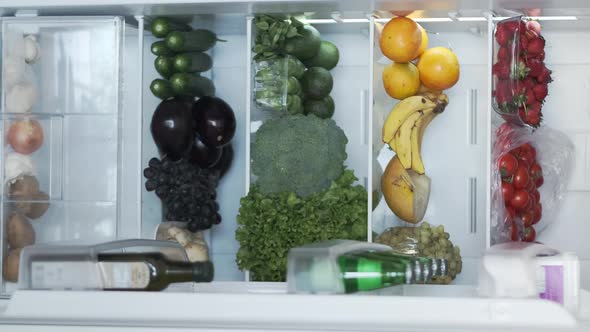 Vertical View of Cooler or Refrigerator Full of Fresh Organic Vegetables and Fruits