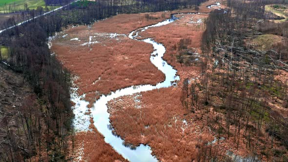 Brown swamps and blue river, aerial view