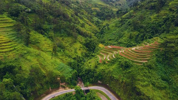 Picturesque Natural Scenery of Forest, Rice Terraces, Waterfalls and Wavy Road.