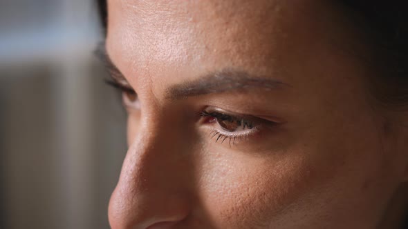 Closeup of Womans Face Adult Woman Has Beautiful Brown Eyes