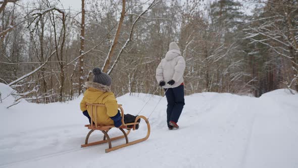 Woman is Pulling Wooden Sledge with Little Child Inside Walking in Forest in Winter