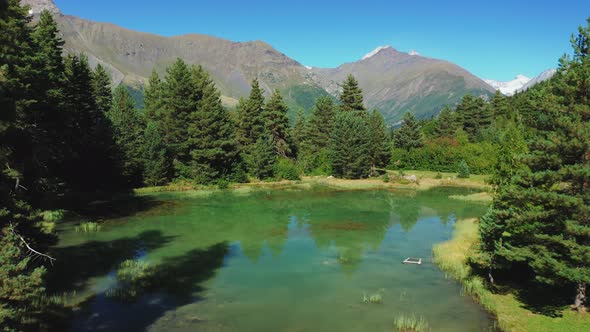 Aerial View of a Mountain Lake in a Pine Forest on a Sunny Summer Day