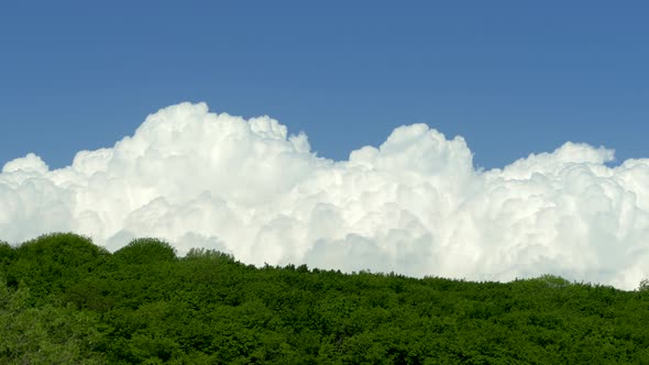 White Bubbling Clouds Fly Over a Mountain Forest. Beautiful Clouds Against the Blue Sky on the
