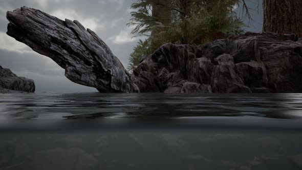 Half Underwater in Northern Sea with Rocks