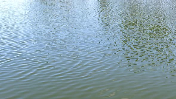 Ripping Water Surface on the Lake