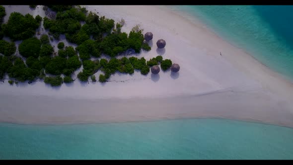 Aerial drone shot sky of tranquil lagoon beach wildlife by blue ocean with white sandy background of