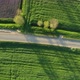 Road Among Green Fields and Meadows - VideoHive Item for Sale