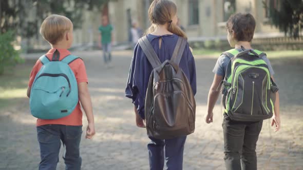 Back View of Schoolchildren Walking Outdoors and Running Passing High-school Students. Cheerful