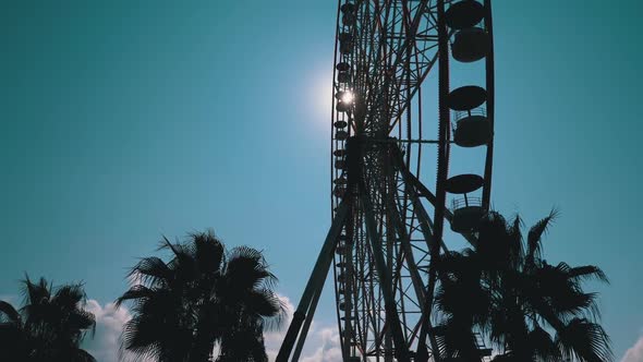 Silhouette of Ferris Wheel Against the Sun Blue Sky Near the Palm Trees in Sunny Day