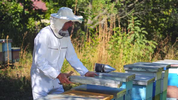 Beekeeper is working with bees and beehives on the apiary. Beekeeper on apiary.