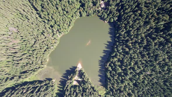 Aerial View of Synevyr Lake in Carpathians Ukraine Europe