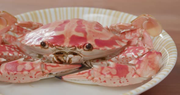 Steamed Fresh flower crab